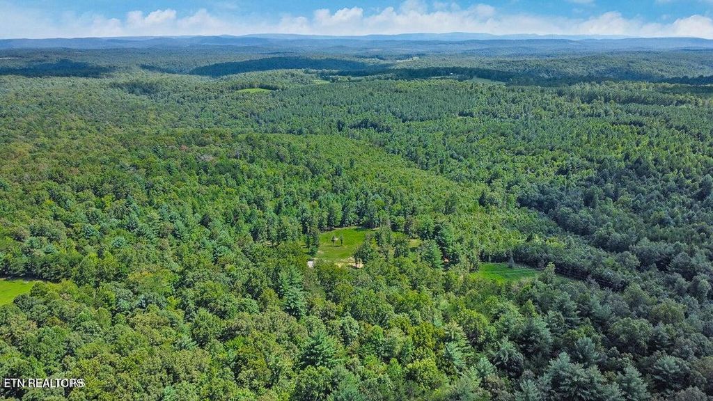 Photo of 10.76 Acres - Valerie Drive, Deer Lodge, TN 37726 (MLS # 1319070)