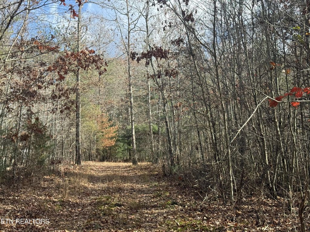 Photo of 10.77 Acres - Valerie Drive, Deer Lodge, TN 37726 (MLS # 1319070)