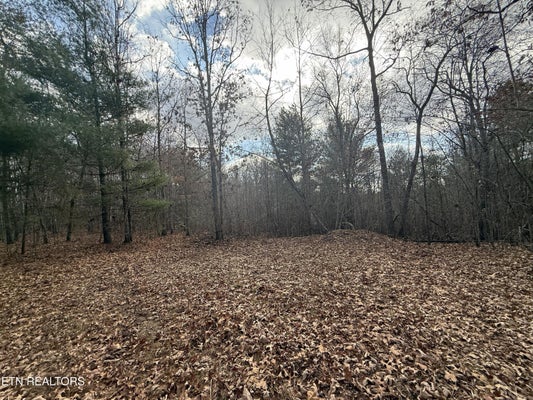 ADDRESS PRIVATE, DEER LODGE, TN 37726 - Image cfc4f445b96d33abe75df2447206384a/80457981