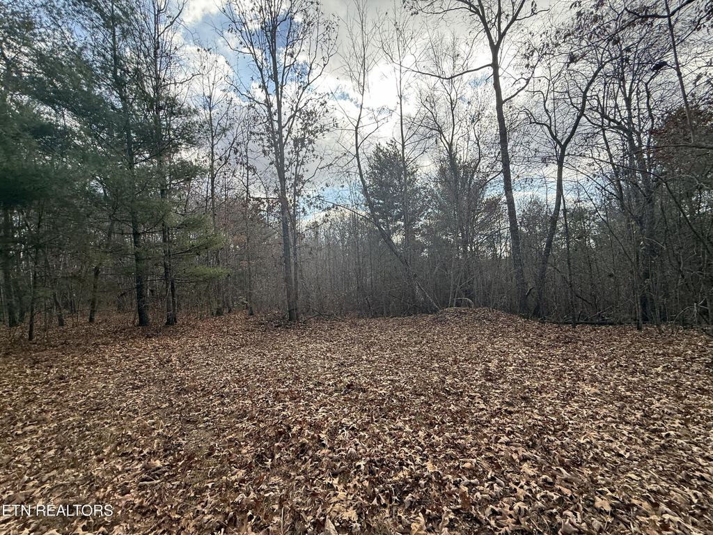 Photo of 10.77 Acres - Valerie Drive, Deer Lodge, TN 37726 (MLS # 1319070)