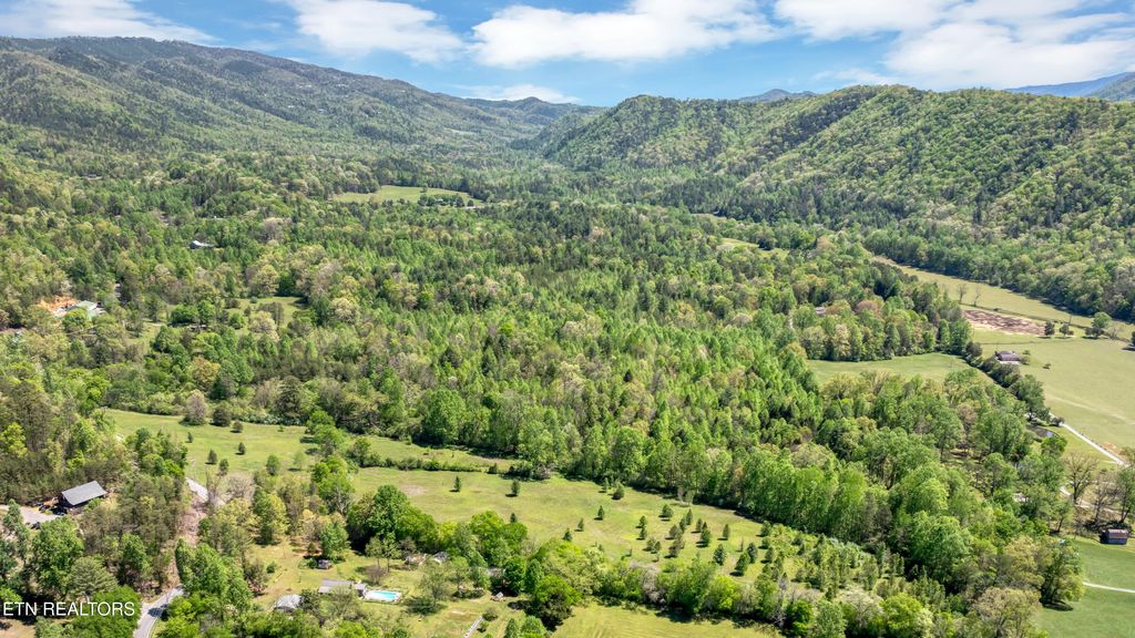 Photo of 418 E Millers Cove Rd, Walland, TN 37886 (MLS # 1339364)