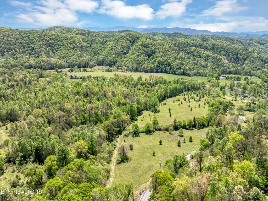 Photo of 418 E Millers Cove Rd, Walland, TN 37886 (MLS # 1339364)