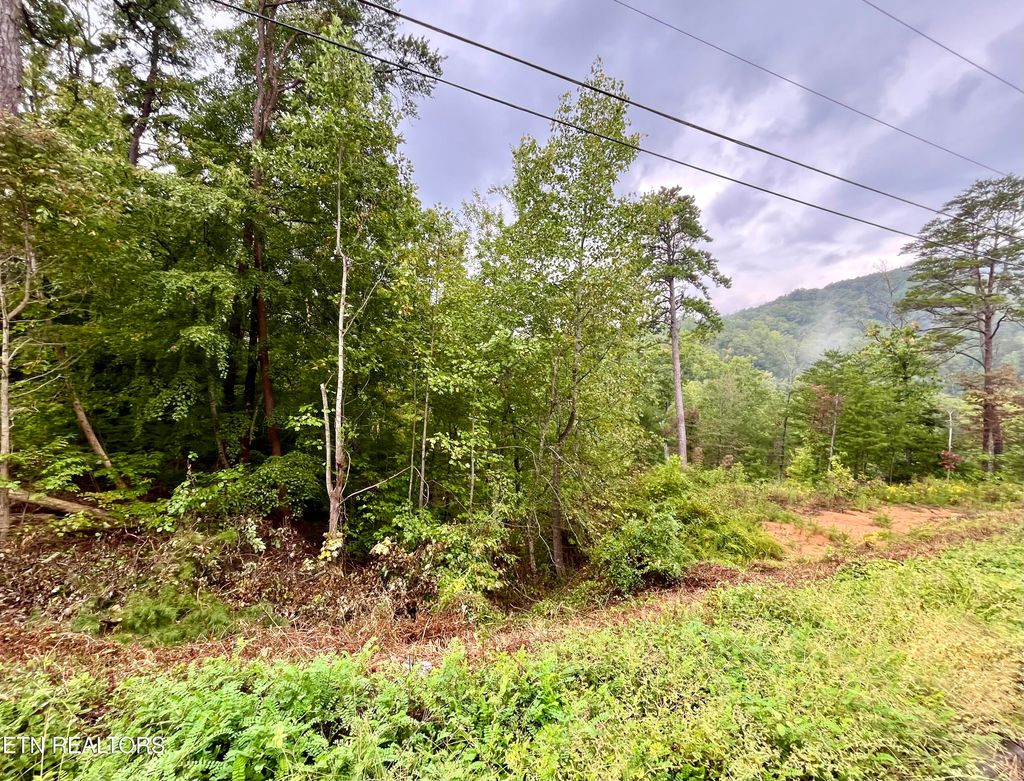 Photo of 97 Bluff Ridge Rd, Sevierville, TN 37876 (MLS # 1316594)