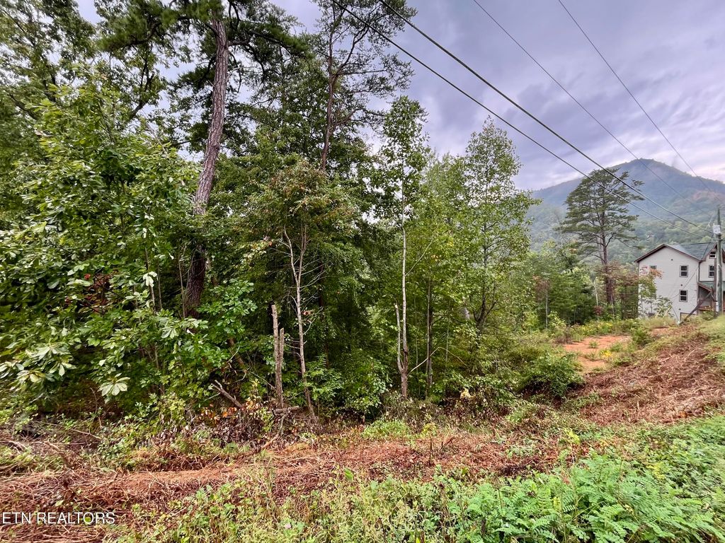 Photo of 97 Bluff Ridge Rd, Sevierville, TN 37876 (MLS # 1316594)