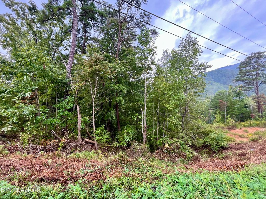 Photo of 97 Bluff Ridge Rd, Sevierville, TN 37876 (MLS # 1316594)