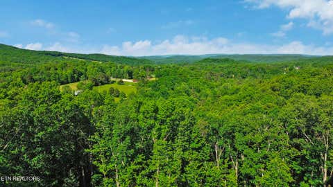 Tiny photo for 133 Hickory Flats Rd, Harriman, TN 37748 (MLS # 1340604)