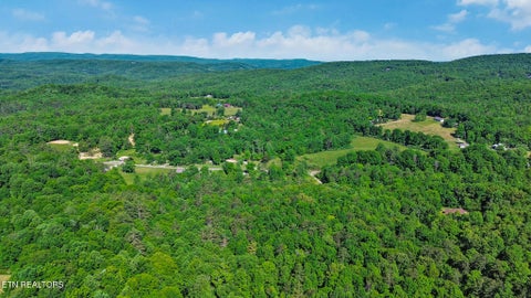 Tiny photo for 133 Hickory Flats Rd, Harriman, TN 37748 (MLS # 1340604)