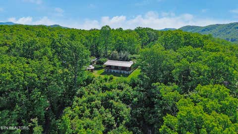 Tiny photo for 133 Hickory Flats Rd, Harriman, TN 37748 (MLS # 1340604)