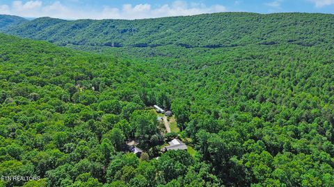 Tiny photo for 133 Hickory Flats Rd, Harriman, TN 37748 (MLS # 1340604)