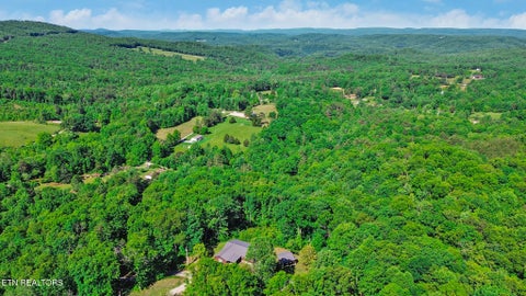 Tiny photo for 133 Hickory Flats Rd, Harriman, TN 37748 (MLS # 1340604)
