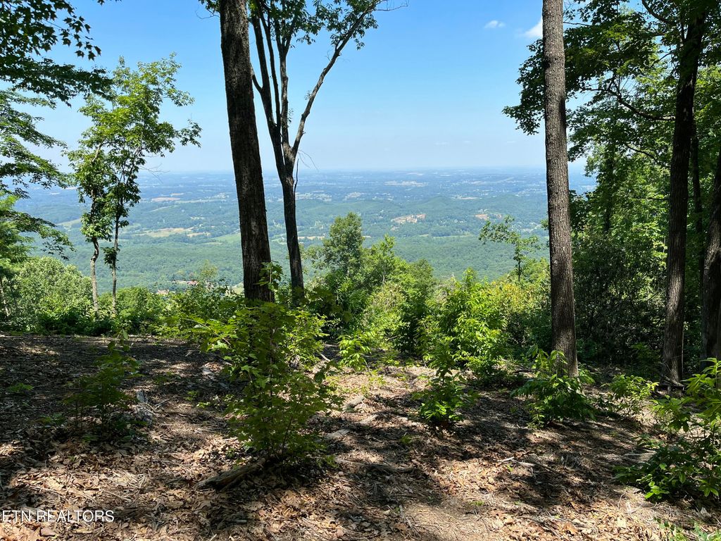 Photo of 4166 Chilhowee Tr, Maryville, TN 37803 (MLS # 1335245)