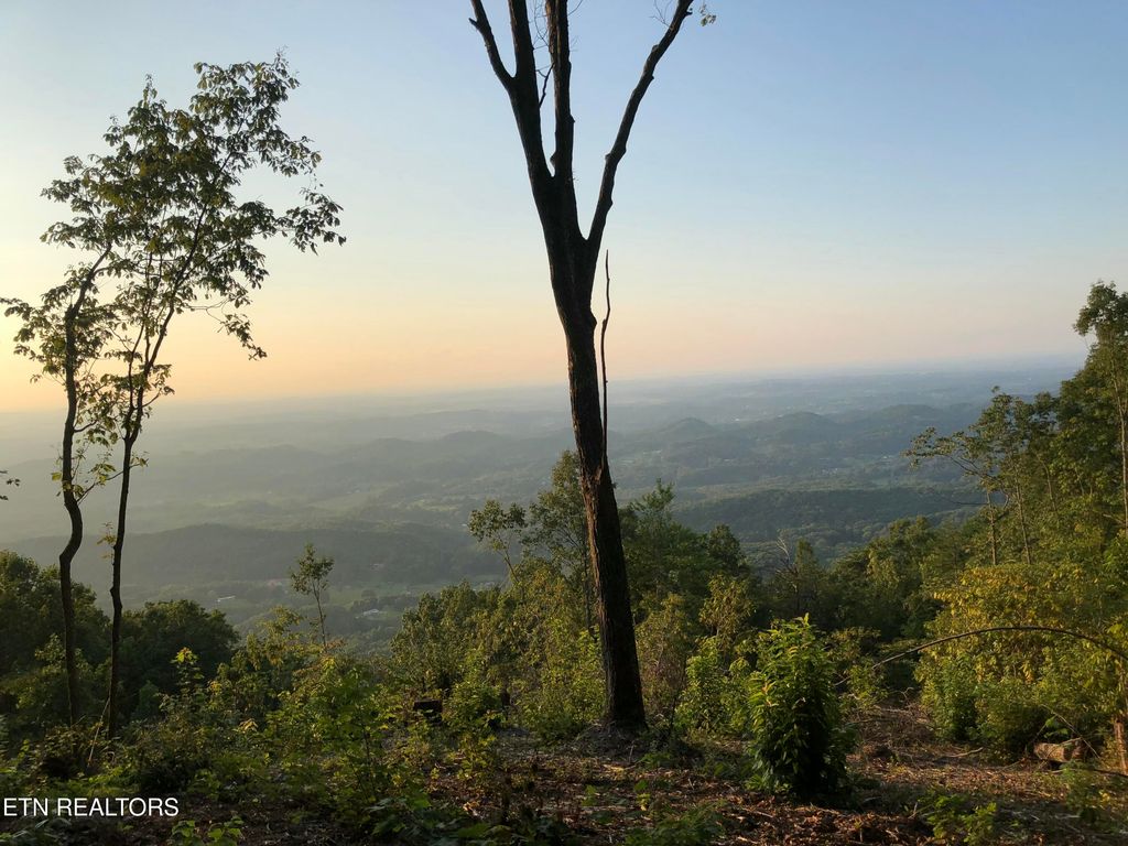 Photo of 4166 Chilhowee Tr, Maryville, TN 37803 (MLS # 1335245)