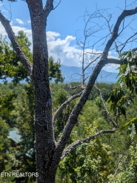 Tiny photo for 2152 E View Drive, Sevierville, TN 37876 (MLS # 1356938)