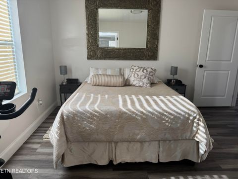 Tiny photo for 3116 Rector St, Knoxville, TN 37921 (MLS # 1324629)