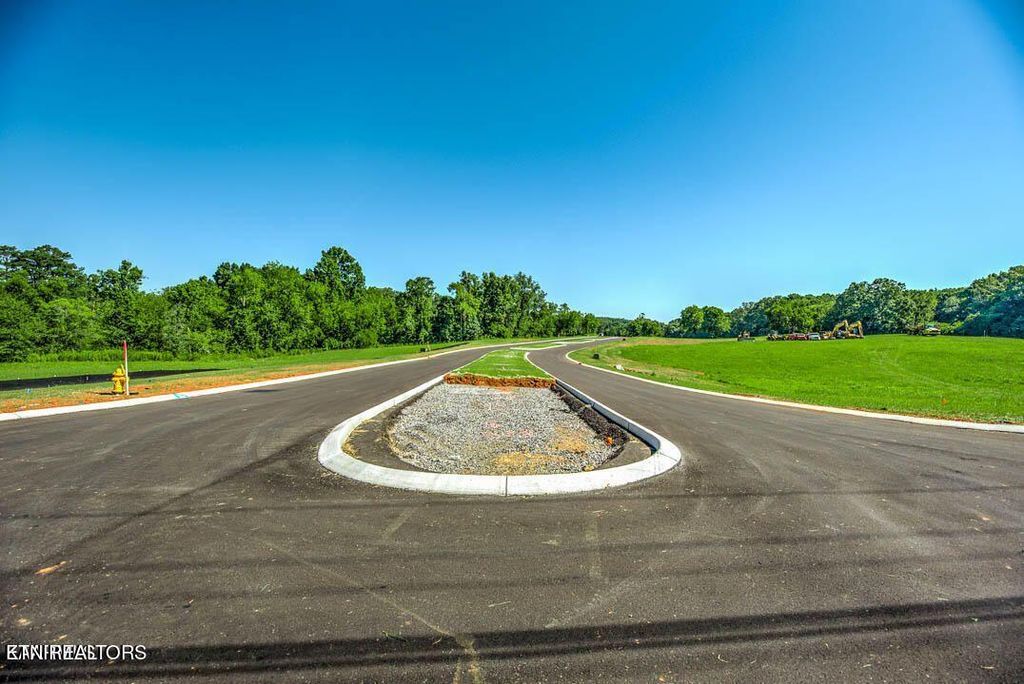 Photo of 655811 Caswell Drive, Greenback, TN 37742 (MLS # 1249874)