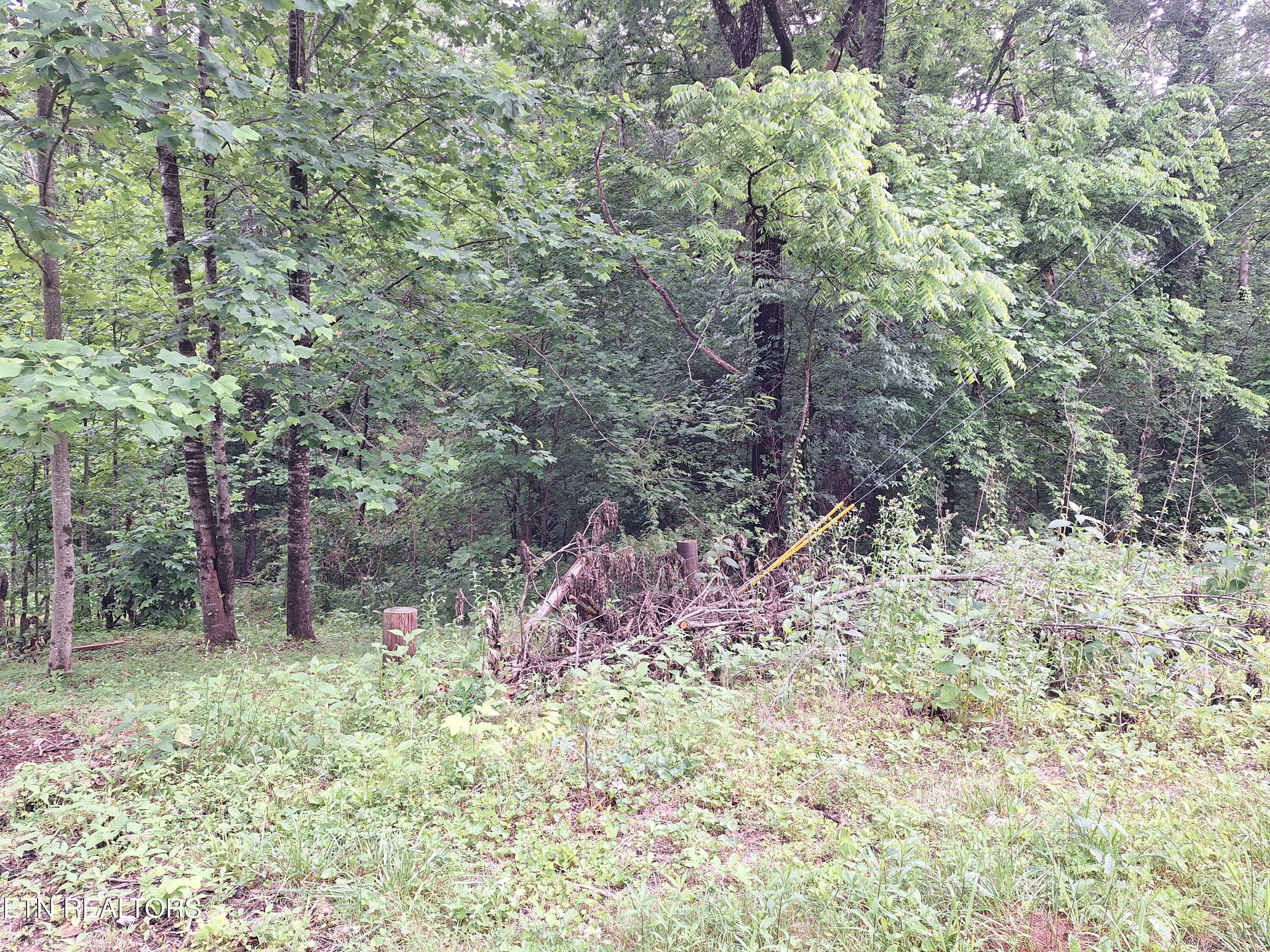 160 MOUNTAIN Rd