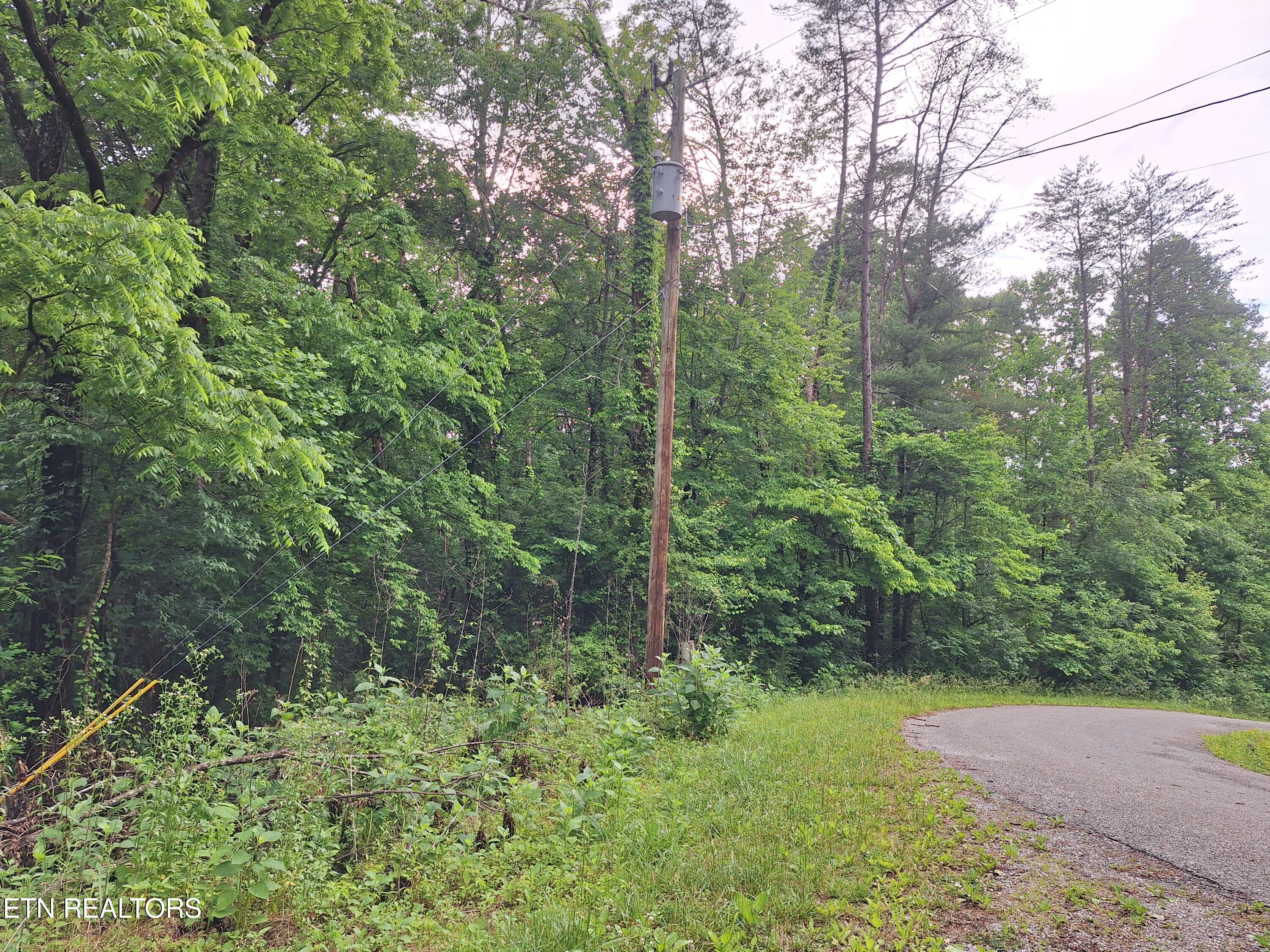 160 MOUNTAIN Rd