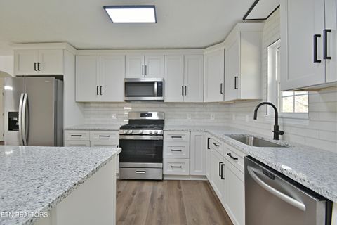 Tiny photo for 2913 Village Lane, Sevierville, TN 37862 (MLS # 1334776)