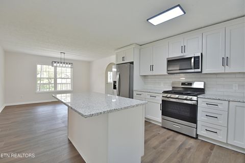 Tiny photo for 2913 Village Lane, Sevierville, TN 37862 (MLS # 1334776)