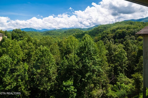 Tiny photo for 224 Woodland Rd #UNIT 305, Gatlinburg, TN 37738 (MLS # 1360228)