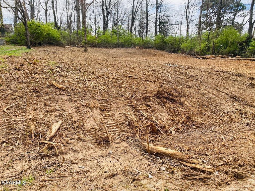 Photo of Skyline Drive, New Market, TN 37820 (MLS # 1220180)