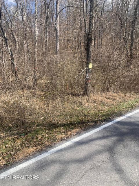 100 C E Todd Rd Sunbright TN 37872