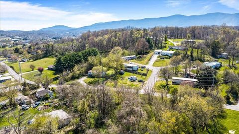 Tiny photo for Island Ford Rd, Jacksboro, TN 37757 (MLS # 1333878)