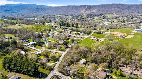 Tiny photo for Island Ford Rd, Jacksboro, TN 37757 (MLS # 1333878)