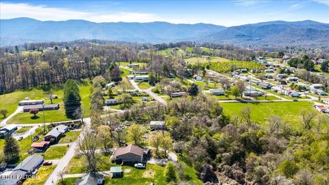 Tiny photo for Island Ford Rd, Jacksboro, TN 37757 (MLS # 1333878)