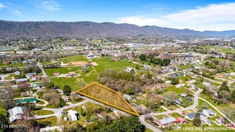 Photo of Island Ford Rd, Jacksboro, TN 37757 (MLS # 1333878)
