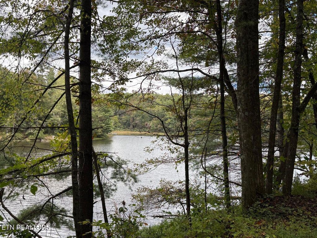 Photo of Lot 113 Bear Den Tr, Grandview, TN 37337 (MLS # 1323765)