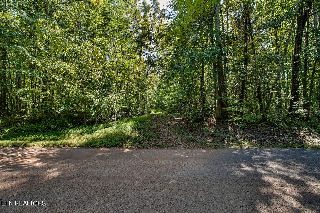 Photo of Pleasant Hill Rd, Ten Mile, TN 37880 (MLS # 1240548)