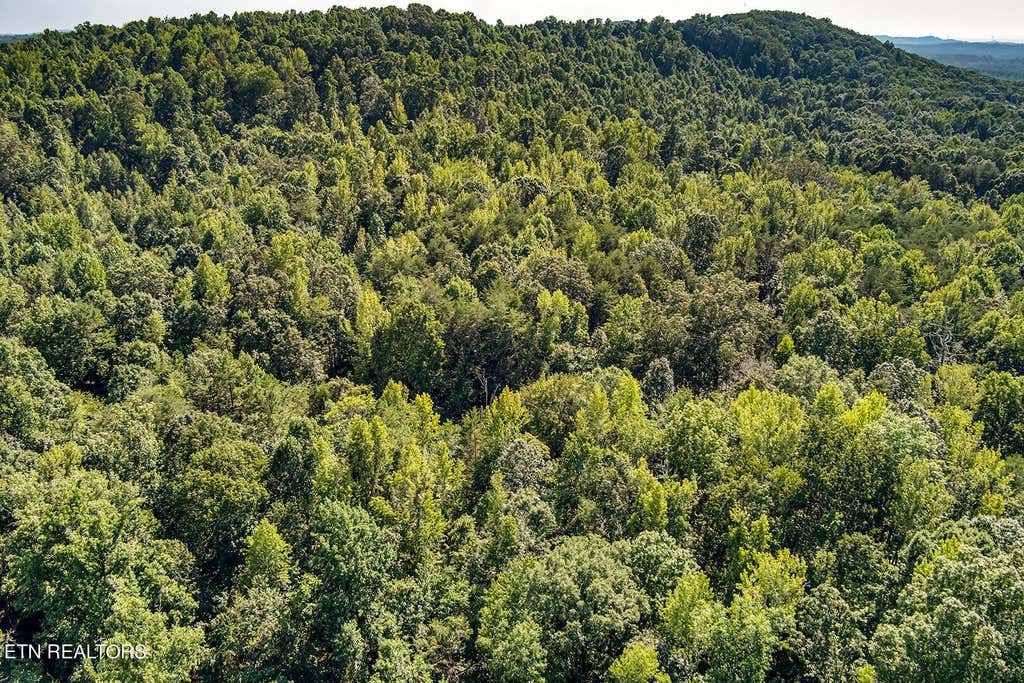 Photo of Pleasant Hill Rd, Ten Mile, TN 37880 (MLS # 1240548)