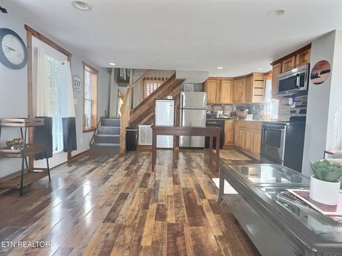 Tiny photo for 517 Easter Lane, LaFollette, TN 37766 (MLS # 1335040)