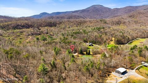 Tiny photo for 1525 Cove Lane, Oliver Springs, TN 37840 (MLS # 1334434)
