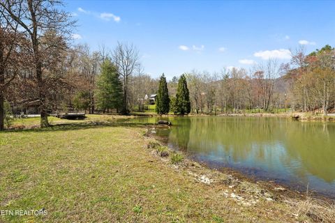 Tiny photo for 1525 Cove Lane, Oliver Springs, TN 37840 (MLS # 1334434)