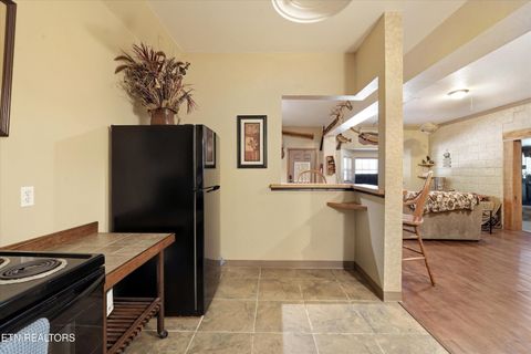 Tiny photo for 1525 Cove Lane, Oliver Springs, TN 37840 (MLS # 1334434)