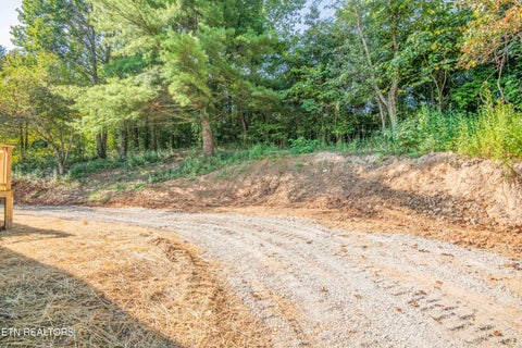 Tiny photo for 239 Honey Drive, New Tazewell, TN 37825 (MLS # 1353607)