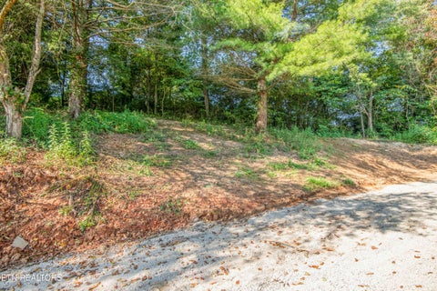 Tiny photo for 239 Honey Drive, New Tazewell, TN 37825 (MLS # 1353607)