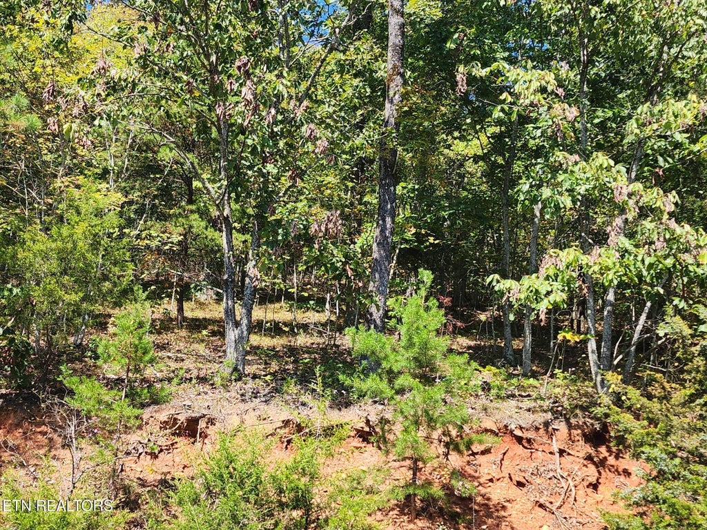 Photo of 609 Chimney Rock Rd, New Tazewell, TN 37825 (MLS # 1352054)
