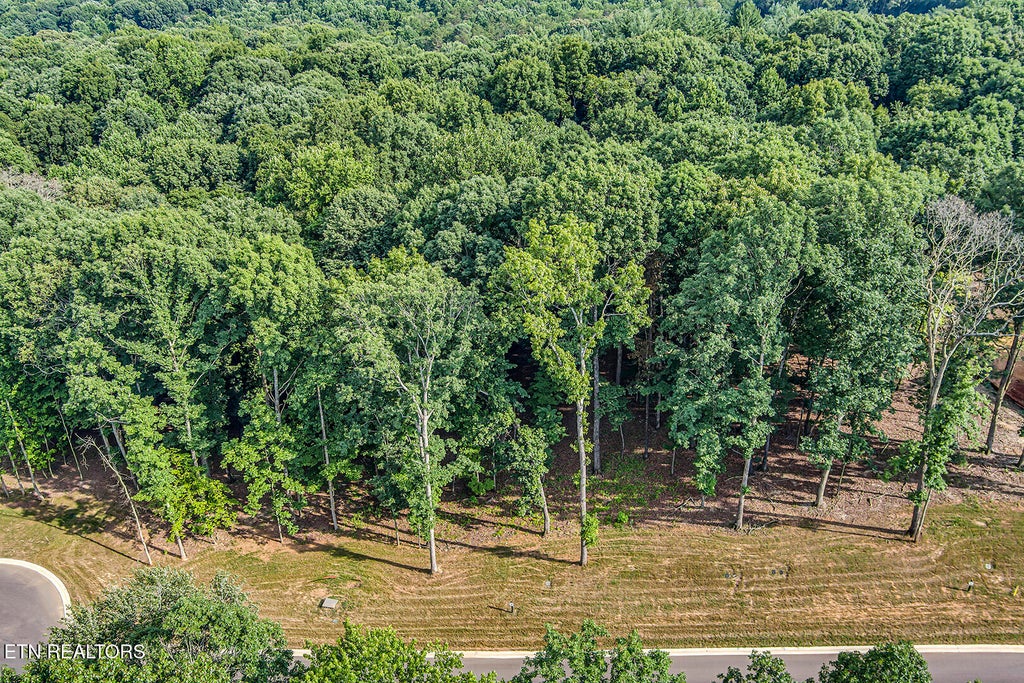 Photo of 326 Flip Flop Way, Loudon, TN 37774 (MLS # 1346285)