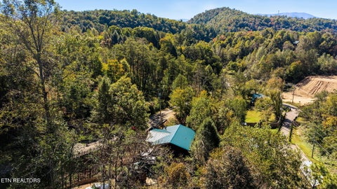 Tiny photo for 1725 Red Bone Way, Sevierville, TN 37876 (MLS # 1360202)