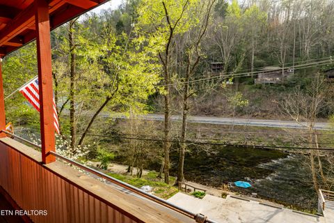 Tiny photo for 6851 Old Walland Hwy, Townsend, TN 37882 (MLS # 1335434)