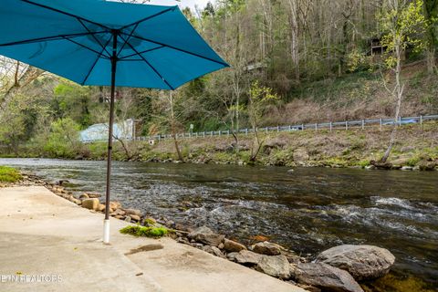 Tiny photo for 6851 Old Walland Hwy, Townsend, TN 37882 (MLS # 1335434)