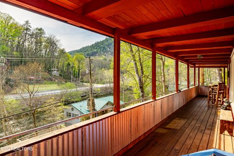 Tiny photo for 6851 Old Walland Hwy, Townsend, TN 37882 (MLS # 1335434)