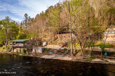 Tiny photo for 6851 Old Walland Hwy, Townsend, TN 37882 (MLS # 1335434)