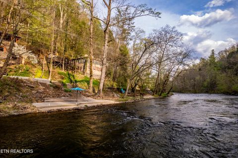 Tiny photo for 6851 Old Walland Hwy, Townsend, TN 37882 (MLS # 1335434)