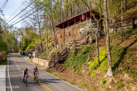 Tiny photo for 6851 Old Walland Hwy, Townsend, TN 37882 (MLS # 1335434)