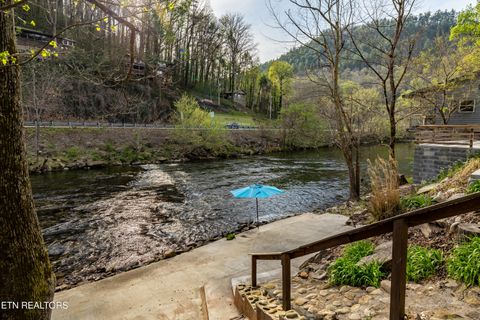 Tiny photo for 6851 Old Walland Hwy, Townsend, TN 37882 (MLS # 1335434)