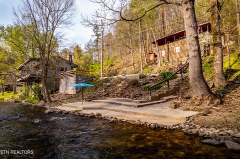 Tiny photo for 6851 Old Walland Hwy, Townsend, TN 37882 (MLS # 1335434)